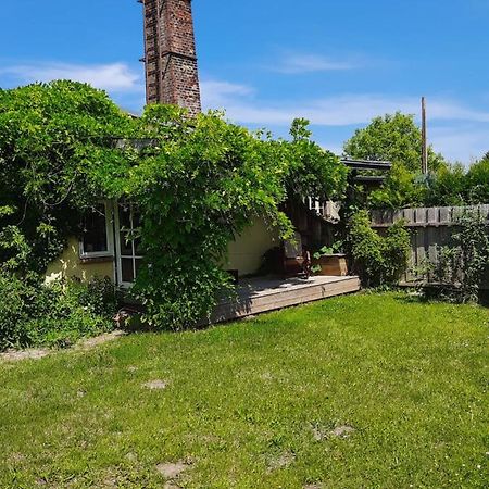 Ferienwohnung In Welzin Damshagen Exteriér fotografie